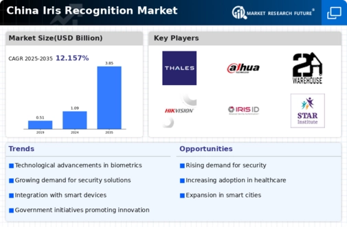 China Iris Recognition Market Infographic
