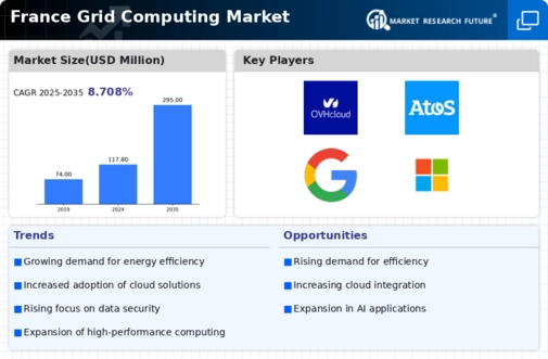 France Grid Computing Market Infographic