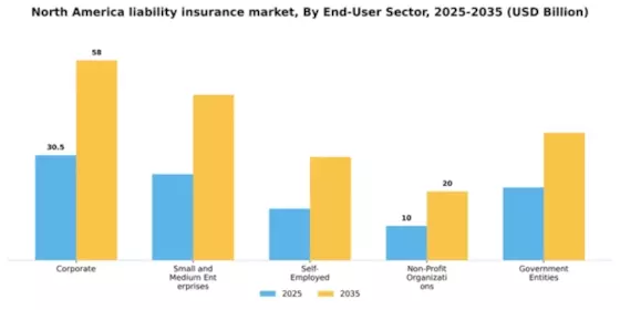 North America Liability Insurance Market Segment Image 1
