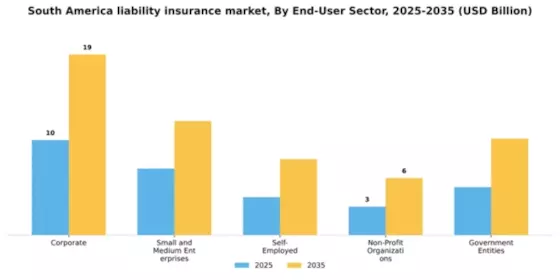 South America Liability Insurance Market Segment Image 1