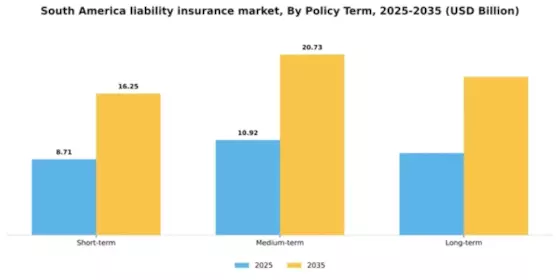 South America Liability Insurance Market Segment Image 2