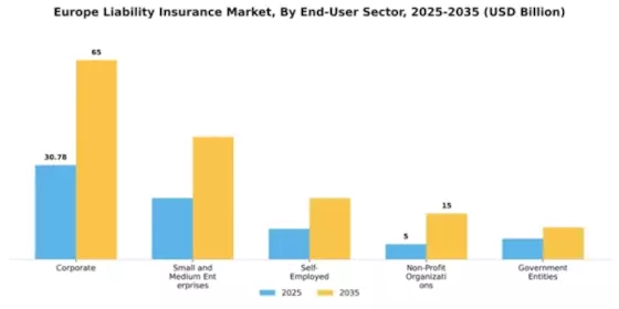 Europe Liability Insurance Market Segment Image 1