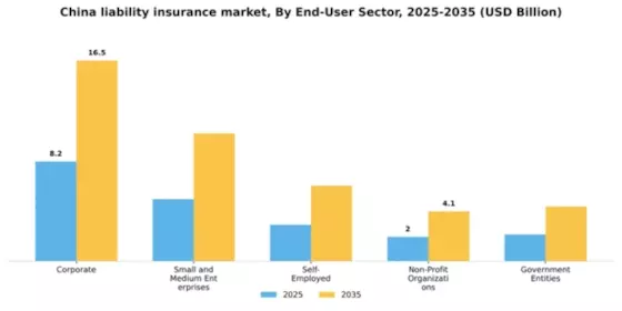 China Liability Insurance Market Segment Image 1