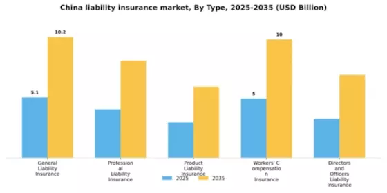 China Liability Insurance Market Segment Image 3