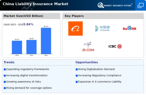China Liability Insurance Market Infographic