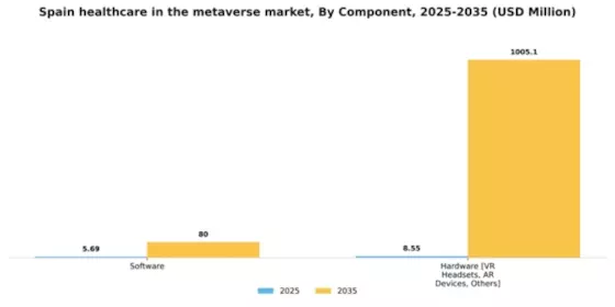 Spain Healthcare In Metaverse Market Segment Image 1