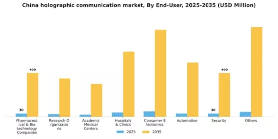 China Holographic Communication Market Segment Image 1