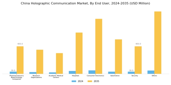 China Holographic Communication Market Segment Image 4