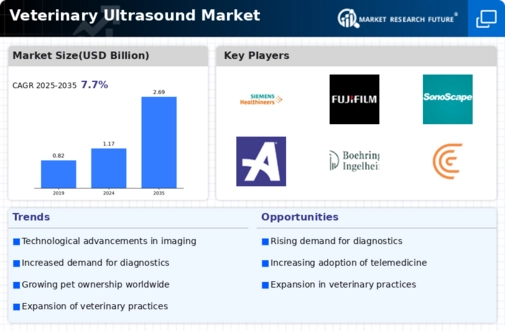 Veterinary Ultrasound Market Infographic