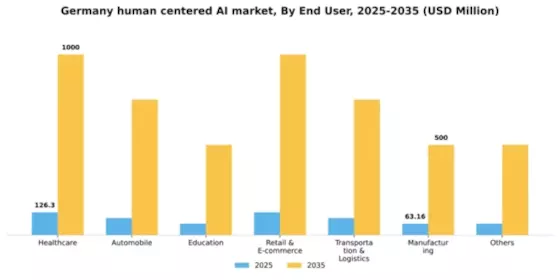 Germany Human Centered Ai Market Segment Image 1