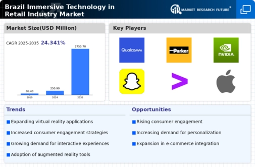 Brazil Immersive Technology In Retail Industry Market Infographic
