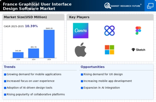 France Graphical User Interface Design Software Market Infographic