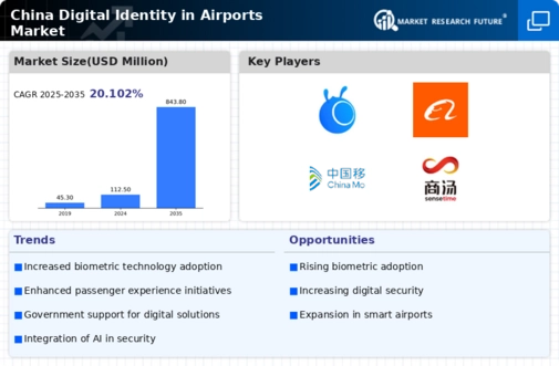 China Digital Identity In Airports Market Infographic