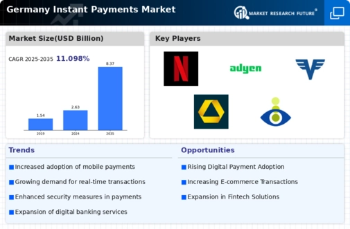 Germany Instant Payments Market Infographic