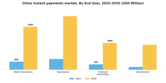 China Instant Payments Market Segment Image 1