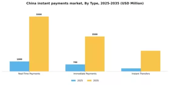 China Instant Payments Market Segment Image 3