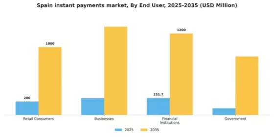 Spain Instant Payments Market Segment Image 1