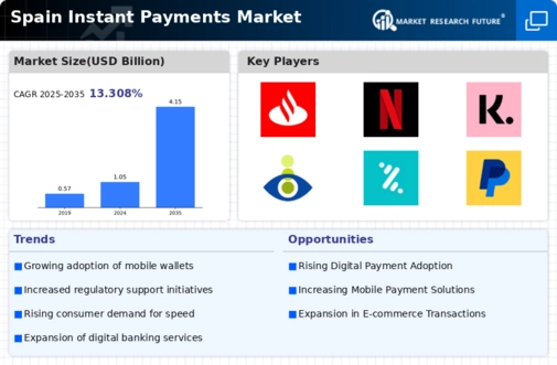 Spain Instant Payments Market Infographic