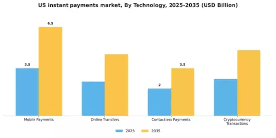 US Instant Payments Market Segment Image 2
