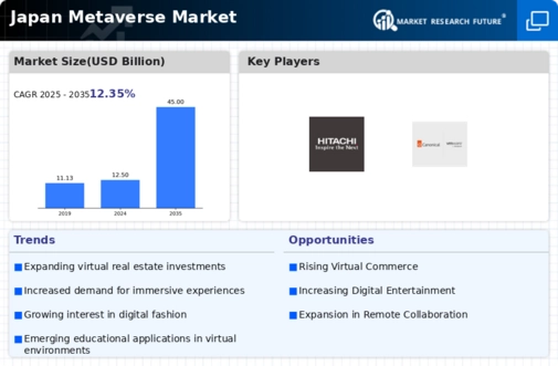 Japan Metaverse Market Infographic