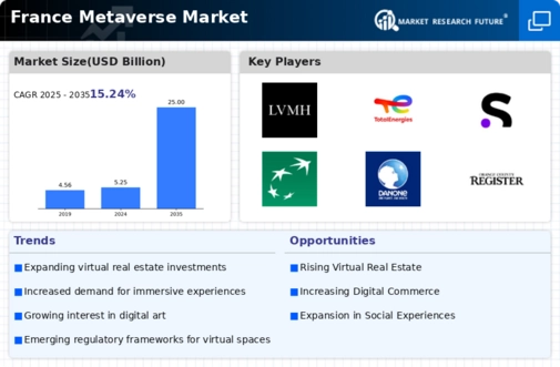 France Metaverse Market Infographic