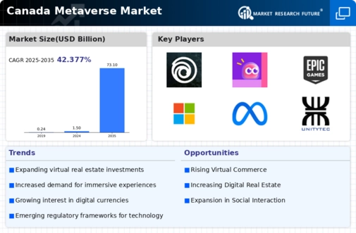 Canada Metaverse Market Infographic