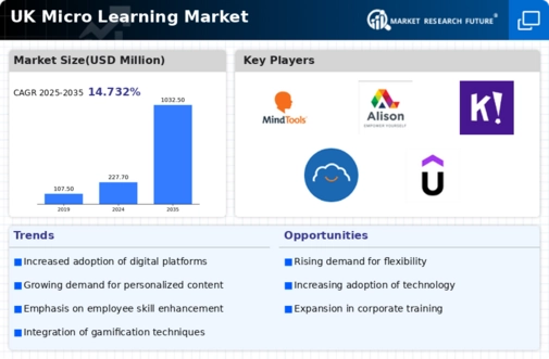 UK Micro Learning Market Infographic