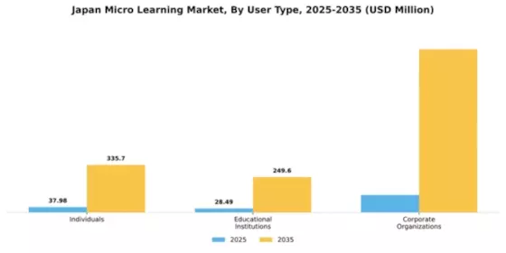 Japan Micro Learning Market Segment Image 3