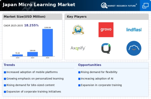 Japan Micro Learning Market Infographic
