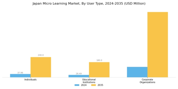 Japan Micro Learning Market Segment Image 3