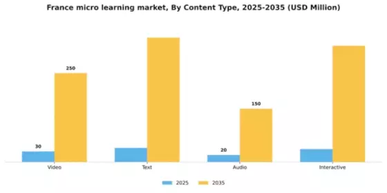 France Micro Learning Market Segment Image 1