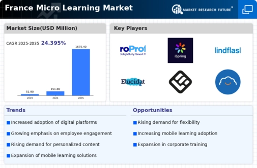 France Micro Learning Market Infographic