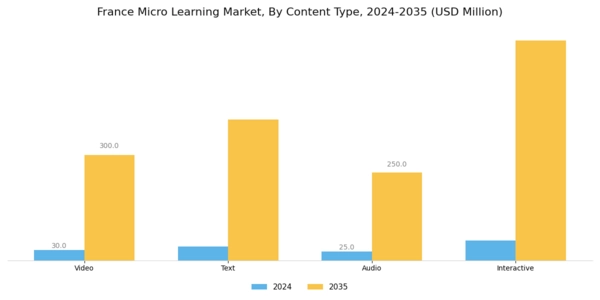 France Micro Learning Market Segment Image 1