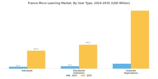 France Micro Learning Market Segment Image 3