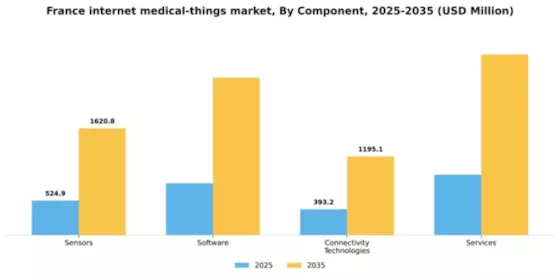France Internet Medical Things Market Segment Image 1