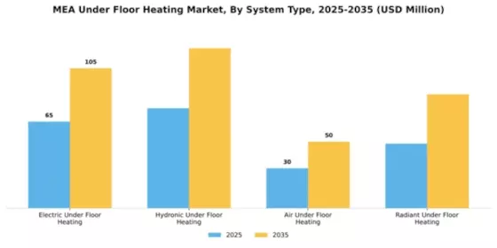 EMEA Blood Glucose Monitoring Market Segment Image 2