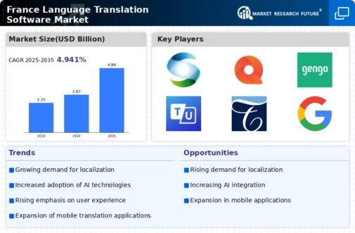 France Language Translation Software Market Infographic