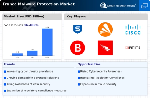 France Malware Protection Market Infographic