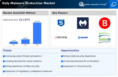 Italy Malware Protection Market Infographic