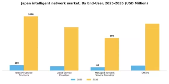 Japan Intelligent Network Market Segment Image 1
