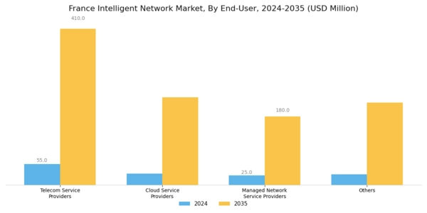 France Intelligent Network Market Segment Image 2