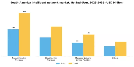 South America Intelligent Network Market Segment Image 1