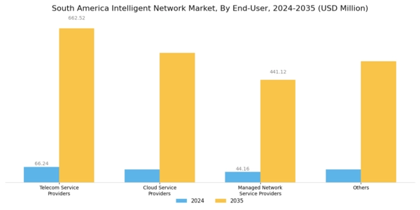 South America Intelligent Network Market Segment Image 2
