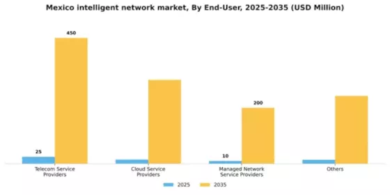 Mexico Intelligent Network Market Segment Image 1