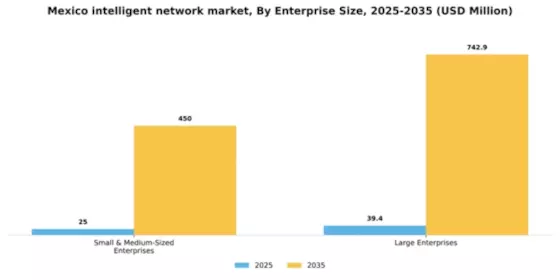 Mexico Intelligent Network Market Segment Image 2