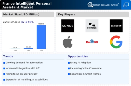 France Intelligent Personal Assistant Market Infographic