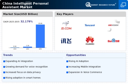 China Intelligent Personal Assistant Market Infographic