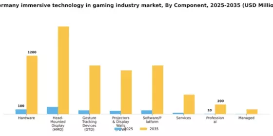 Germany Immersive Technology in Gaming Industry Market Segment Image 1