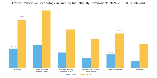 France Immersive Technology in Gaming Industry Market Segment Image 0