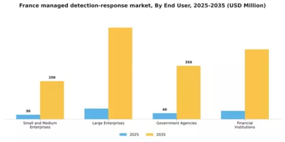 France Managed Detection Response Market Segment Image 1